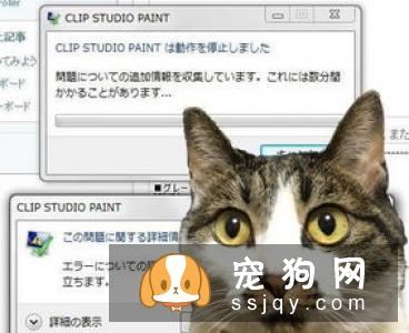 怀孕不是丢弃宠物的理由 网友分享自己当妈妈经历