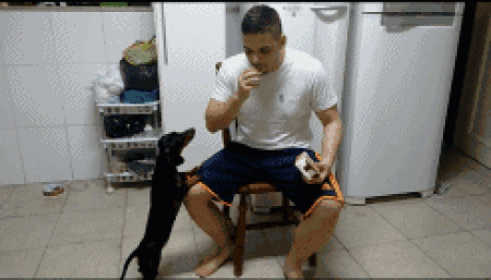 狗狗不吃药怎么办，怎么才能让狗狗乖乖吃药？