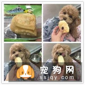 五类有益零食,宠主们都可以选择作为狗狗的训练奖励零食啦!