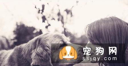 宠物天空推荐:给狗狗和猫咪打全疫苗,养宠是一种责任,请善待那些小生命