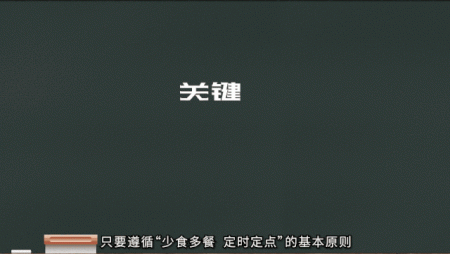狗狗每天吃几顿才科学呢？