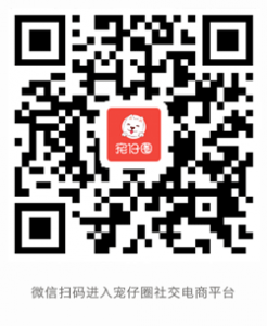 教你如何让宠物如何吃出健康