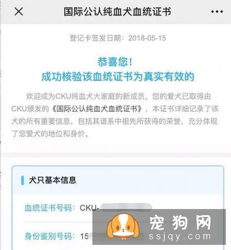 想买纯种犬太难,总是被狗贩子坑?CKU为狗狗打造了五大神器