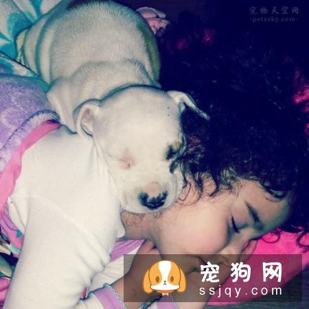 家里有5、6岁的孩子,养狗合适吗?让孩子与宠物相伴的好处
