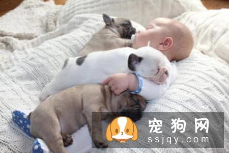 家里有5、6岁的孩子,养狗合适吗?让孩子与宠物相伴的好处