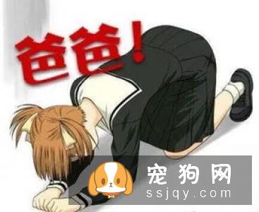 宠物主人对宠物进行安乐死,需要付出很大的勇气,请善待那些小生命。