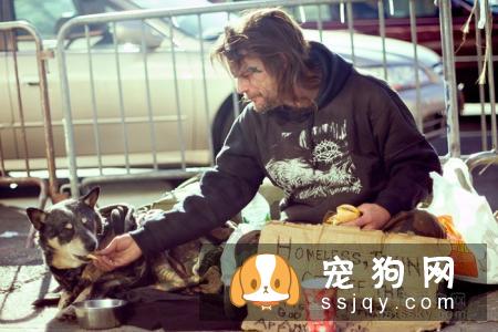 辟谣：我家宠物吃非常贵的宠粮，住得也不错，它很幸福！