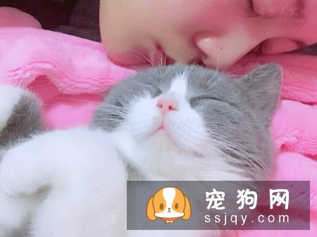 辟谣：我家宠物吃非常贵的宠粮，住得也不错，它很幸福！