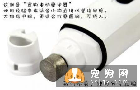 狗狗需要定期修剪指甲吗？来看看狗狗剪指甲的必要性！