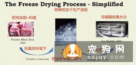 宠物主人应该如何辨别劣质冻干?