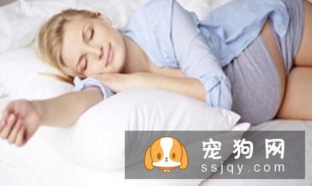 怀孕不是丢弃宠物的理由 网友分享自己当妈妈经历