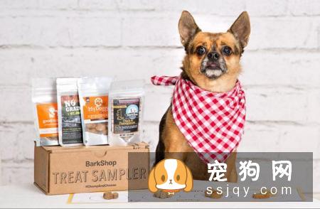 养狗狗需要做哪些准备？准备养狗要懂得那些事