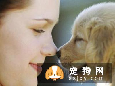 怀孕期间还能养狗狗吗？