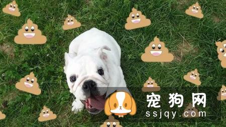 歪头杀,笑颜杀和打滚杀并称小狐狸精狗的三大绝技!