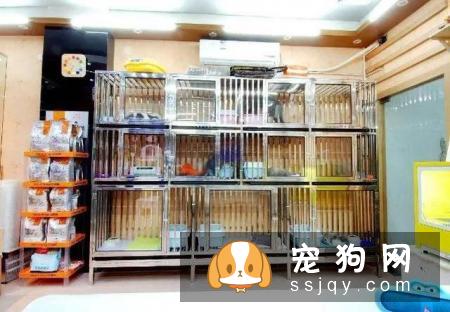 狗狗为什么害怕去宠物店?可能是这几种原因!宠仔圈社交电商平台!