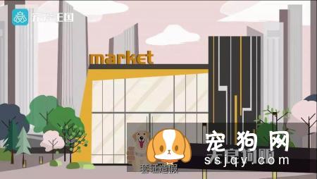 想买纯种犬太难,总是被狗贩子坑?CKU为狗狗打造了五大神器