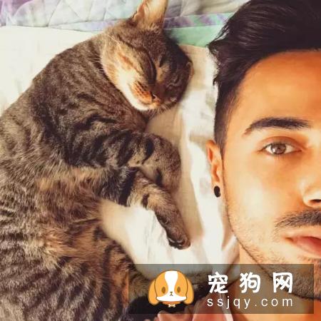 为什么养猫的男生值得交往？
