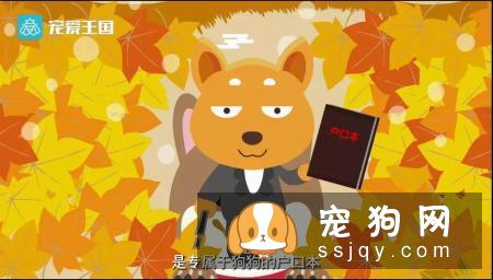 想买纯种犬太难,总是被狗贩子坑?CKU为狗狗打造了五大神器