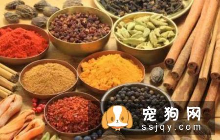 狗狗讨厌哪些味道么?宠仔圈社交电商平台,你中了几招!
