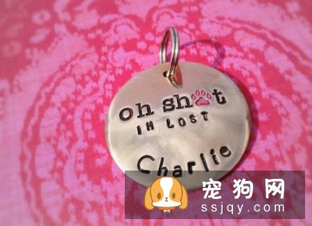 养狗狗需要做哪些准备？准备养狗要懂得那些事