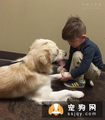 家里有5、6岁的孩子,养狗合适吗?让孩子与宠物相伴的好处