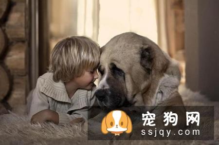 不适合养狗狗的人有哪些？
