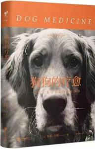 如果狗狗患上抑郁症，你该如何治愈它？