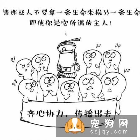 主人怀孕后，就不能养狗狗和猫咪了吗？