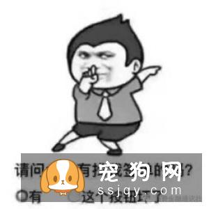 正常掉毛No季节性换毛春夏季3至11月是宠物正常换毛季