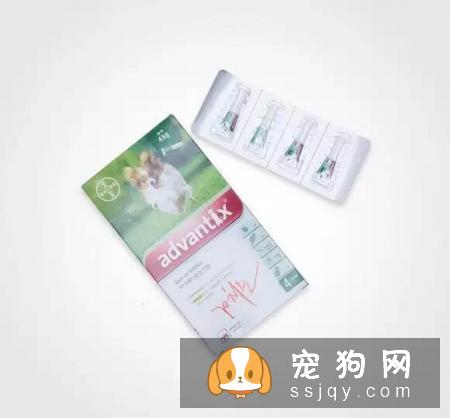 警报，你家的狗狗需要立刻驱虫！