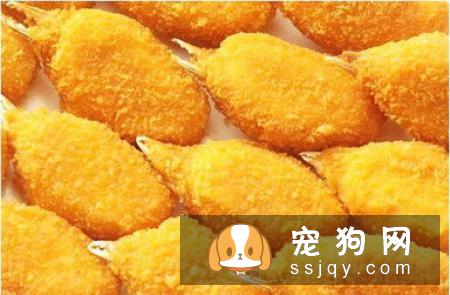 狗狗正确刷牙，能防治常见的牙齿问题