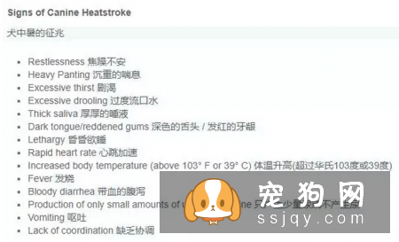 夏季来临，把狗狗留在车里是比较危险的，千万不能做！