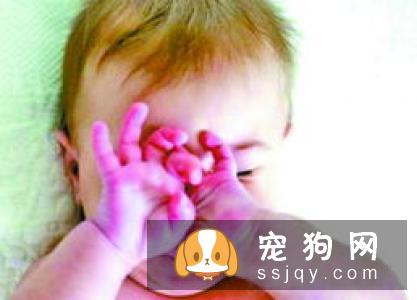 宠物过敏怎么办?-家居装修问答