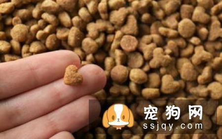 柴犬吃什么狗粮好 怎样给柴犬选购狗粮