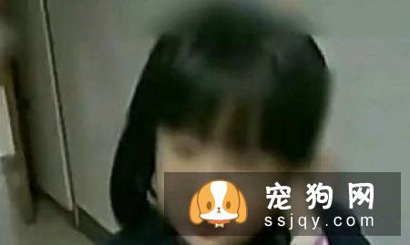 为什么会出现耳道异常_宠物频道
