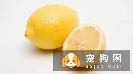 狗狗哪些水果能吃和不能吃？狗狗应该怎么吃水果？