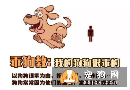 远离！养狗圈的“十大邪教”，科学养犬才是王道！