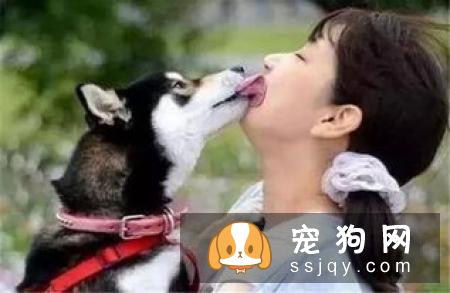 如何教育狗狗,让它改变这一行为值得主人思考