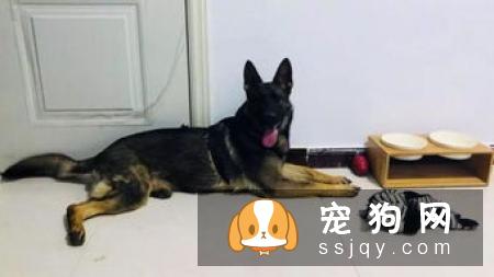 “分离焦虑症”可能出现的症状