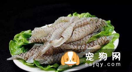如何让狗狗拥有亮丽毛发的小秘诀