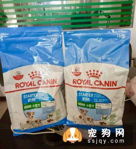 外企加班狗怎么养好娃？上班族养狗必备知识