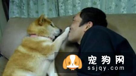 如何呵护狗狗口腔健康