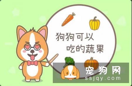 天气炎热，狗狗能吃水果吗?