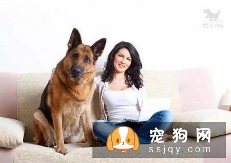 身价70亿的训犬师告知你，狗狗应该这样训练