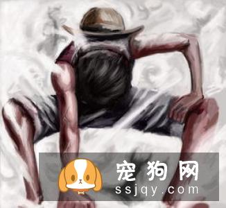 柴犬不喜欢摸头  柴犬不喜欢摸头原来是这样