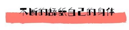“分离焦虑症”可能出现的症状