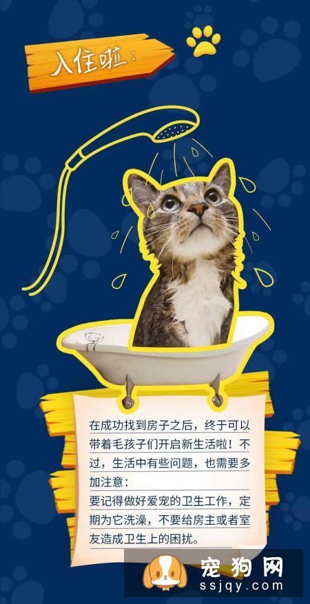当代人租房养宠指南