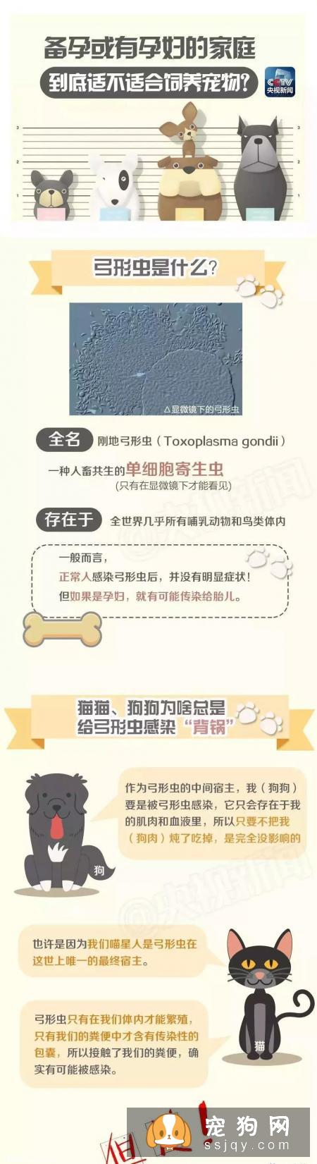 系列图让你了解弓形虫，猫狗不再做背锅侠