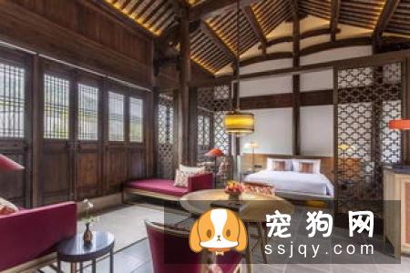 当代人租房养宠指南
