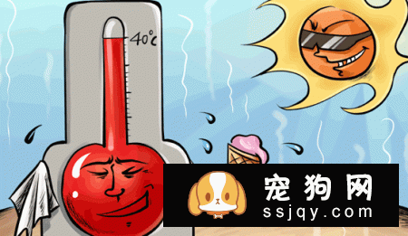 狗狗能不能吃冰棍?幼犬不建议吃,千万不能喂给它!